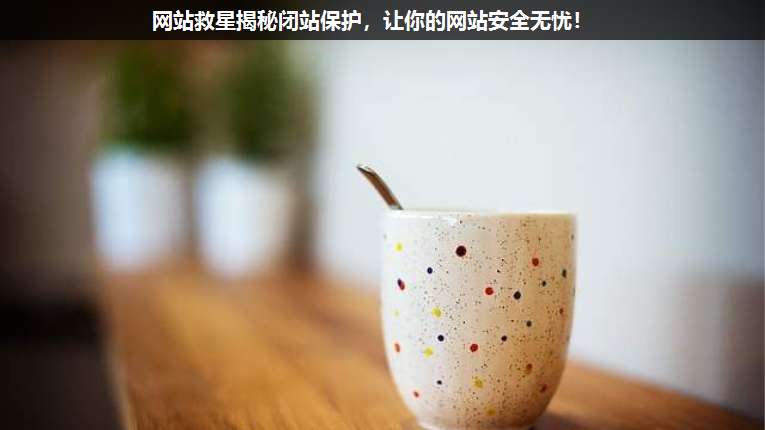 網(wǎng)站救星揭秘閉站保護(hù),讓你的網(wǎng)站安全無憂!