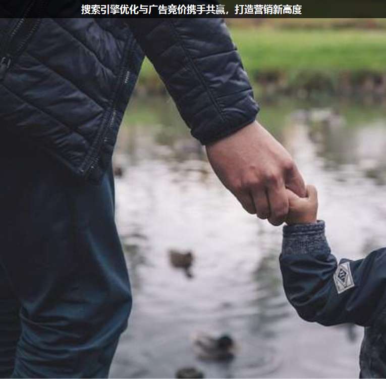 搜索引擎優(yōu)化與廣告競價攜手共贏,打造營銷新高度