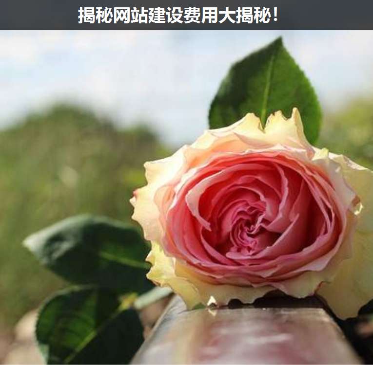 揭秘網(wǎng)站建設(shè)費(fèi)用大揭秘!