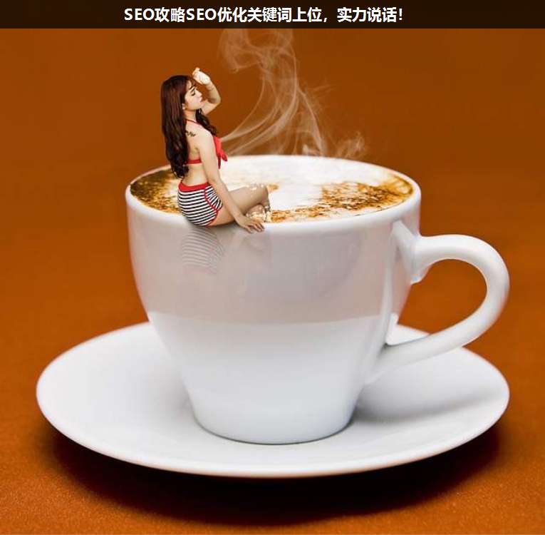 SEO攻略SEO優(yōu)化關(guān)鍵詞上位,實力說話!