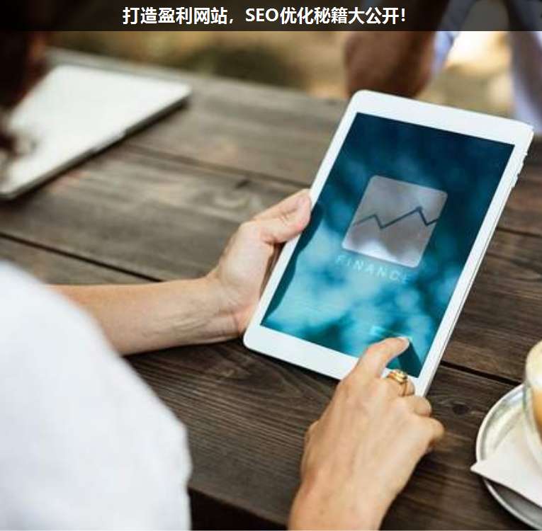 打造盈利網(wǎng)站,SEO優(yōu)化秘籍大公開!
