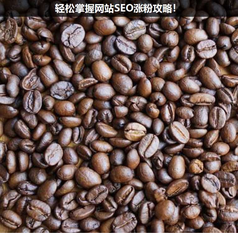 輕松掌握網(wǎng)站SEO漲粉攻略!