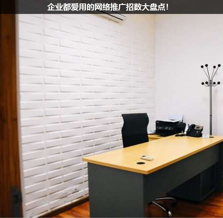 企業(yè)都愛(ài)用的網(wǎng)絡(luò)推廣招數(shù)大盤點(diǎn)!