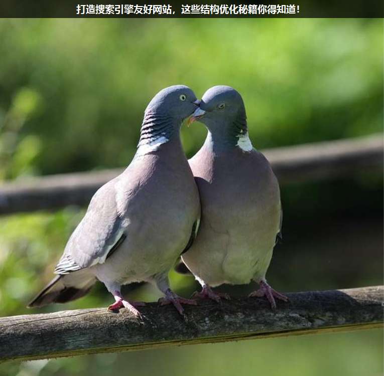打造搜索引擎友好網(wǎng)站,這些結構優(yōu)化秘籍你得知道!