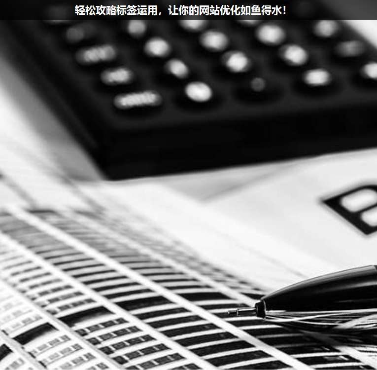輕松攻略標(biāo)簽運(yùn)用,讓你的網(wǎng)站優(yōu)化如魚得水!