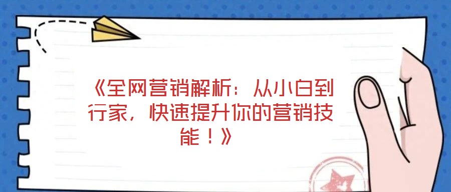 《全網(wǎng)營銷解析：從小白到行家，快速提升你的營銷技能！》