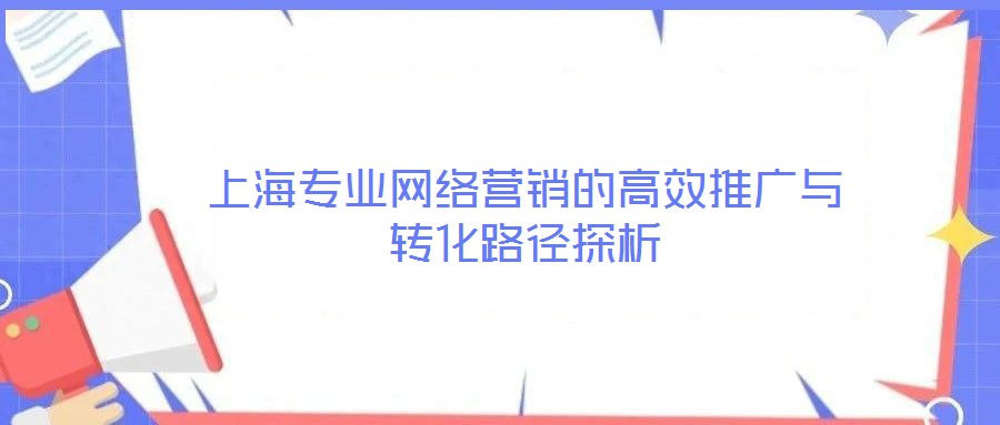 上海專業(yè)網(wǎng)絡營銷的高效推廣與轉化路徑探析
