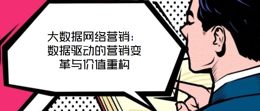 大數(shù)據(jù)網(wǎng)絡(luò)營銷：數(shù)據(jù)驅(qū)動的營銷變革與價值重構(gòu)