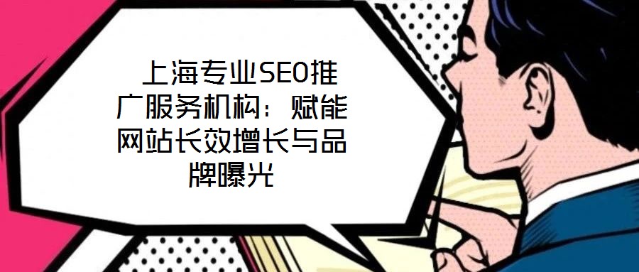  上海專業(yè)SEO推廣服務(wù)機構(gòu)：賦能網(wǎng)站長效增長與品牌曝光