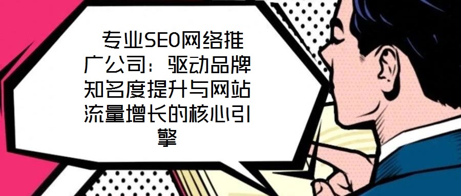  專業(yè)SEO網(wǎng)絡(luò)推廣公司：驅(qū)動品牌知名度提升與網(wǎng)站流量增長的核心引擎